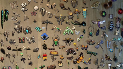 Jeanie Pratt's Bug Brooch Collection